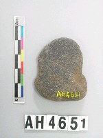 藏品(小砝碼型石網墜)的圖片